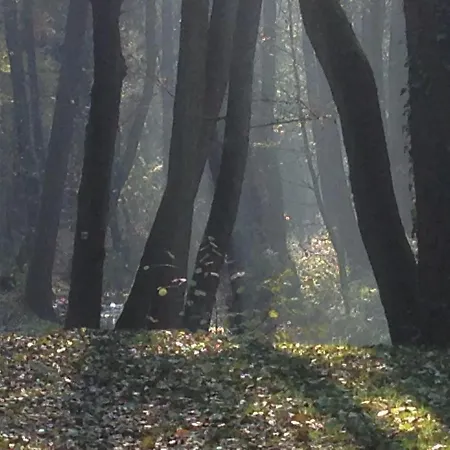 č.p. 9 * Kouřim